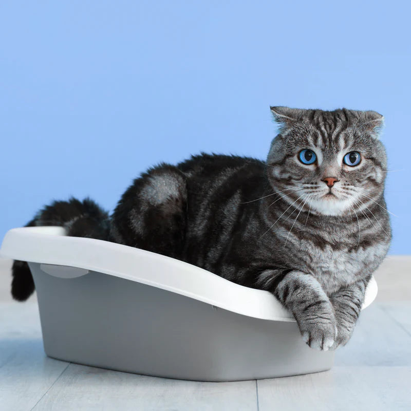 Enfin une solution qui